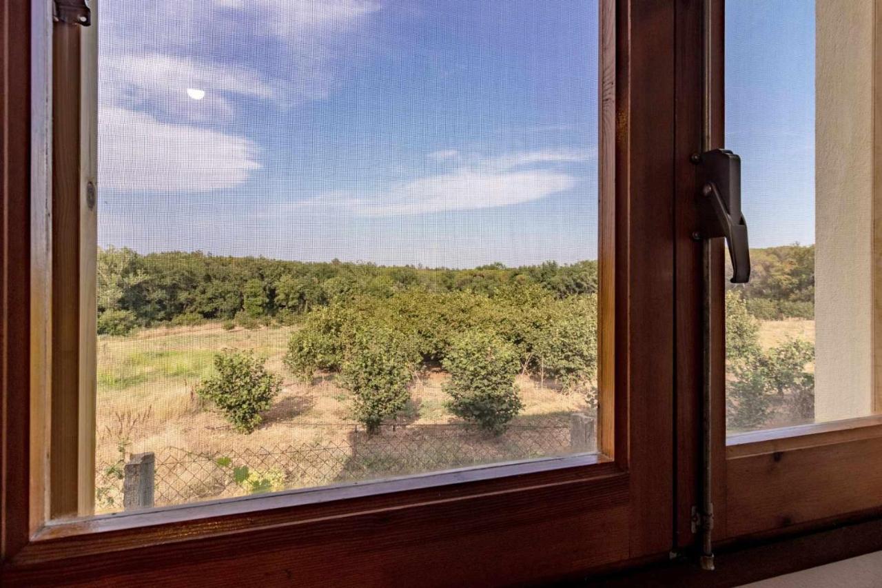 Can Pons De Dalt Casa Rural A La Selva خيرونا المظهر الخارجي الصورة